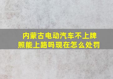 内蒙古电动汽车不上牌照能上路吗现在怎么处罚