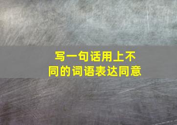 写一句话用上不同的词语表达同意