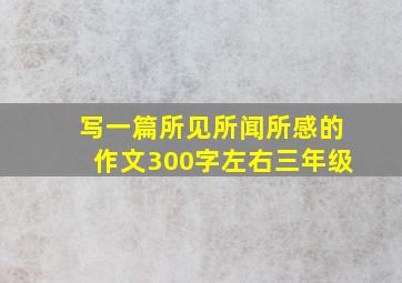 写一篇所见所闻所感的作文300字左右三年级