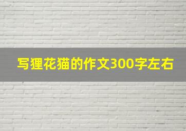 写狸花猫的作文300字左右