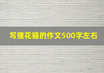 写狸花猫的作文500字左右