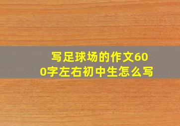 写足球场的作文600字左右初中生怎么写