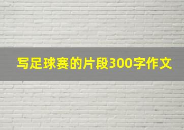 写足球赛的片段300字作文