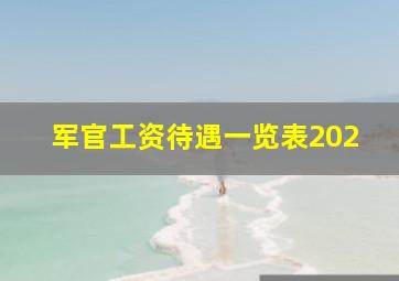 军官工资待遇一览表202