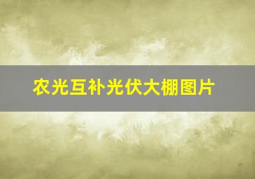 农光互补光伏大棚图片