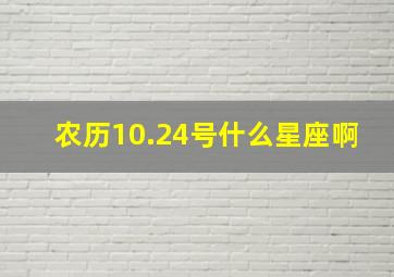 农历10.24号什么星座啊