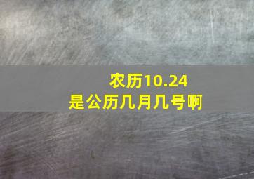 农历10.24是公历几月几号啊