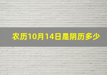 农历10月14日是阴历多少