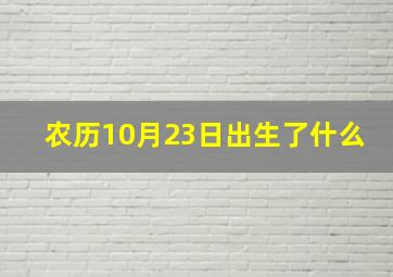 农历10月23日出生了什么