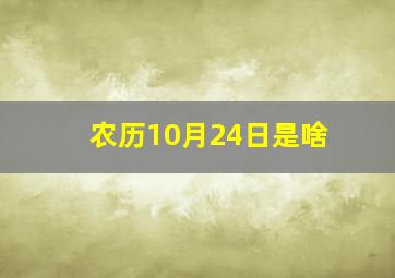 农历10月24日是啥