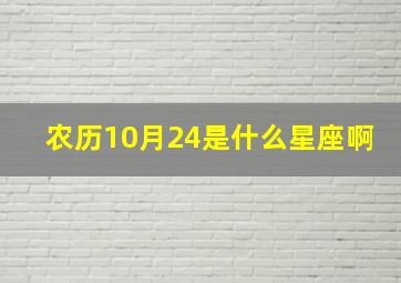 农历10月24是什么星座啊