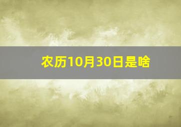 农历10月30日是啥