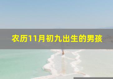 农历11月初九出生的男孩