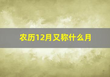 农历12月又称什么月