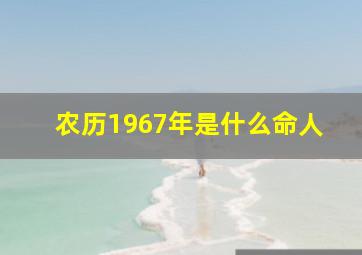 农历1967年是什么命人