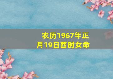 农历1967年正月19日酉时女命