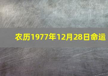 农历1977年12月28日命运