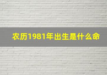 农历1981年出生是什么命