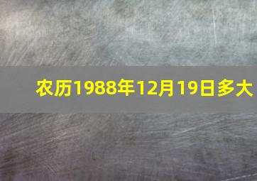 农历1988年12月19日多大