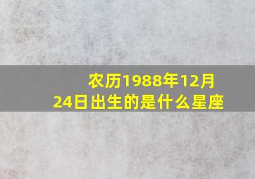 农历1988年12月24日出生的是什么星座