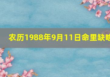 农历1988年9月11日命里缺啥