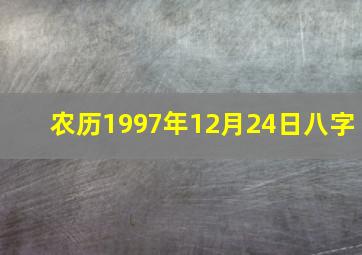 农历1997年12月24日八字