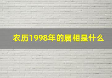 农历1998年的属相是什么