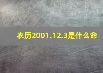 农历2001.12.3是什么命