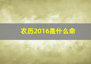 农历2016是什么命