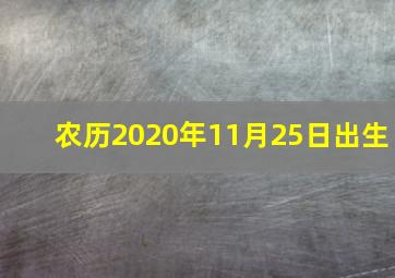 农历2020年11月25日出生