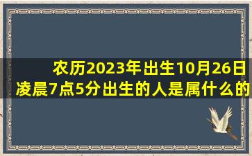 农历2023年出生10月26日凌晨7点5分出生的人是属什么的