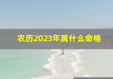 农历2023年属什么命格