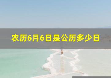 农历6月6日是公历多少日