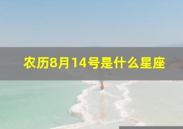 农历8月14号是什么星座