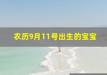 农历9月11号出生的宝宝