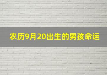 农历9月20出生的男孩命运