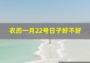 农历一月22号日子好不好