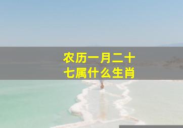 农历一月二十七属什么生肖