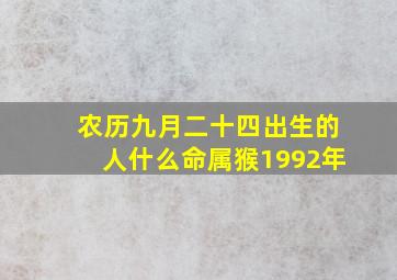 农历九月二十四出生的人什么命属猴1992年