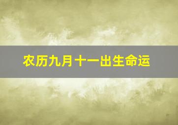 农历九月十一出生命运