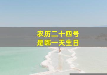 农历二十四号是哪一天生日