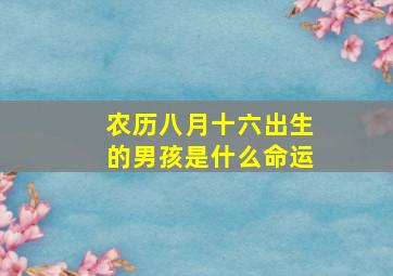 农历八月十六出生的男孩是什么命运