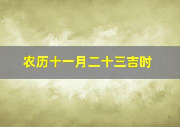 农历十一月二十三吉时