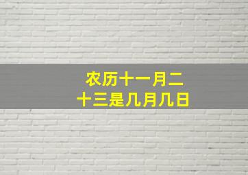 农历十一月二十三是几月几日