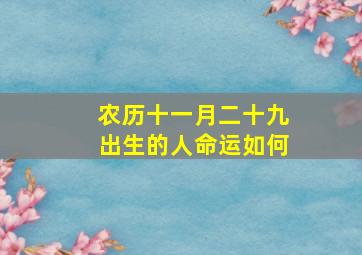 农历十一月二十九出生的人命运如何