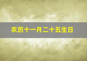 农历十一月二十五生日