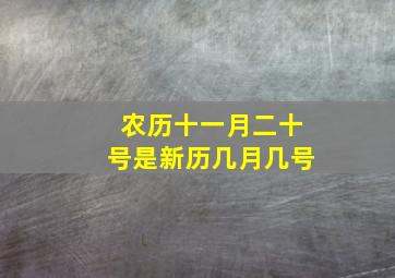 农历十一月二十号是新历几月几号