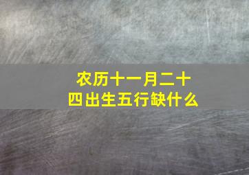 农历十一月二十四出生五行缺什么