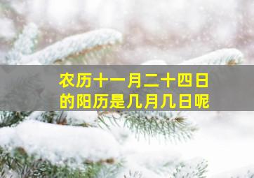 农历十一月二十四日的阳历是几月几日呢