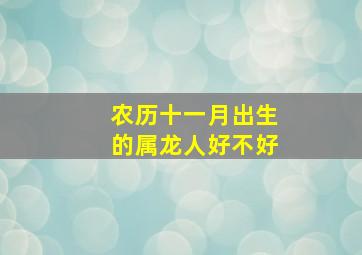 农历十一月出生的属龙人好不好